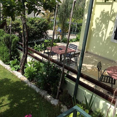 Apartments Simo Petrovac Luaran gambar