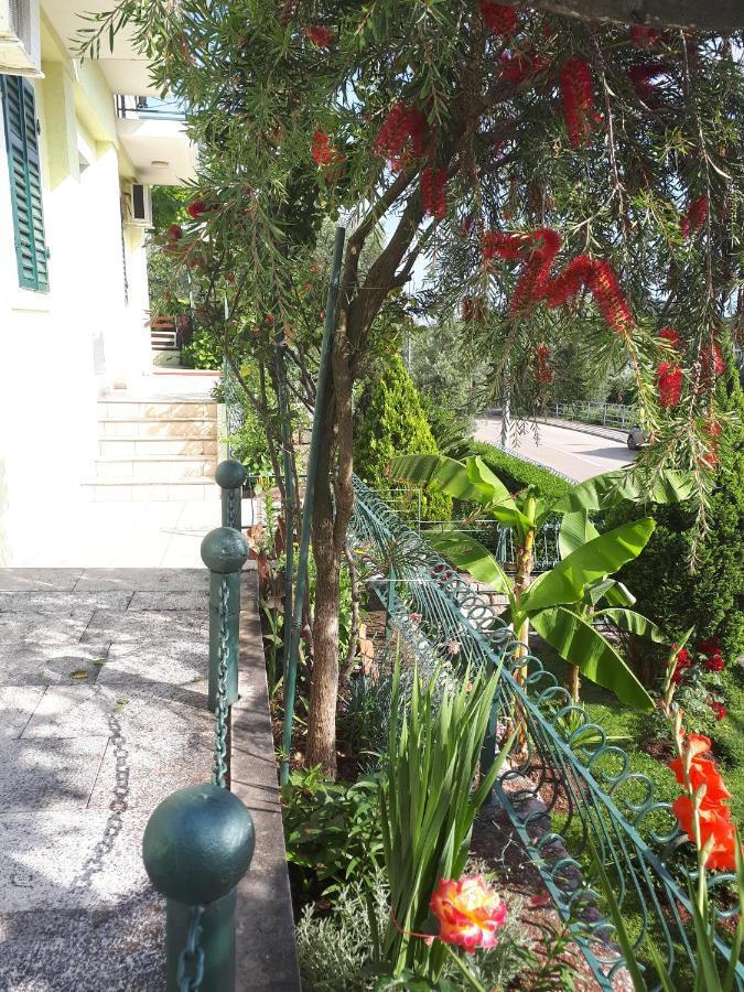 Apartments Simo Petrovac Luaran gambar