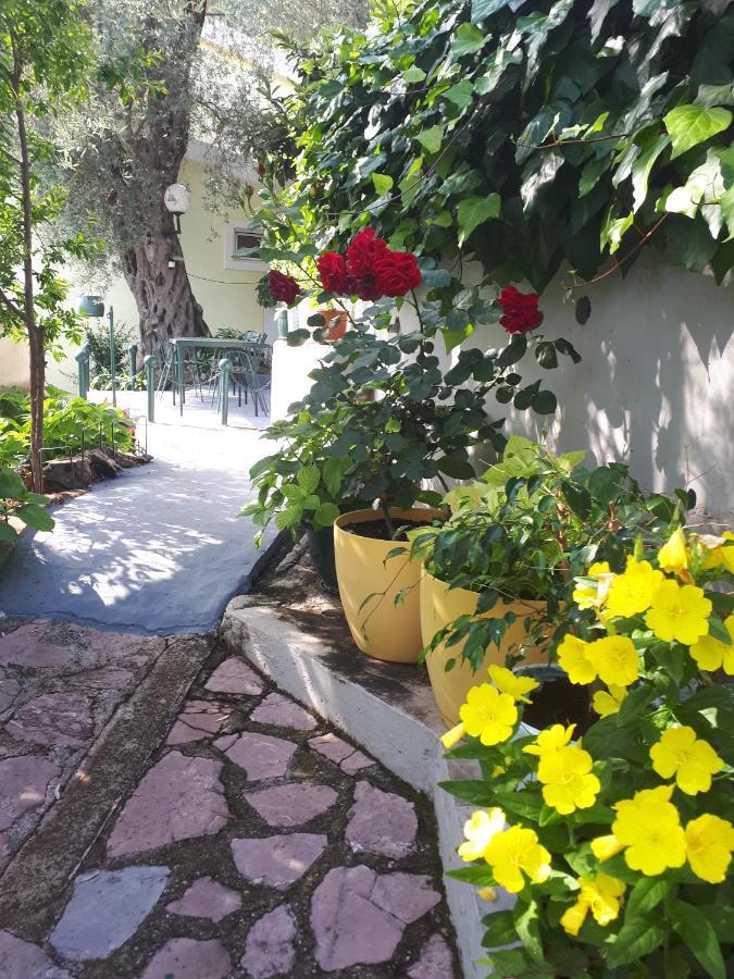 Apartments Simo Petrovac Luaran gambar