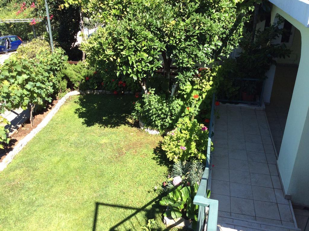 Apartments Simo Petrovac Bilik gambar