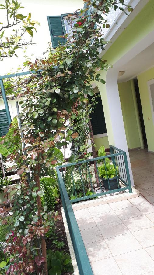 Apartments Simo Petrovac Luaran gambar