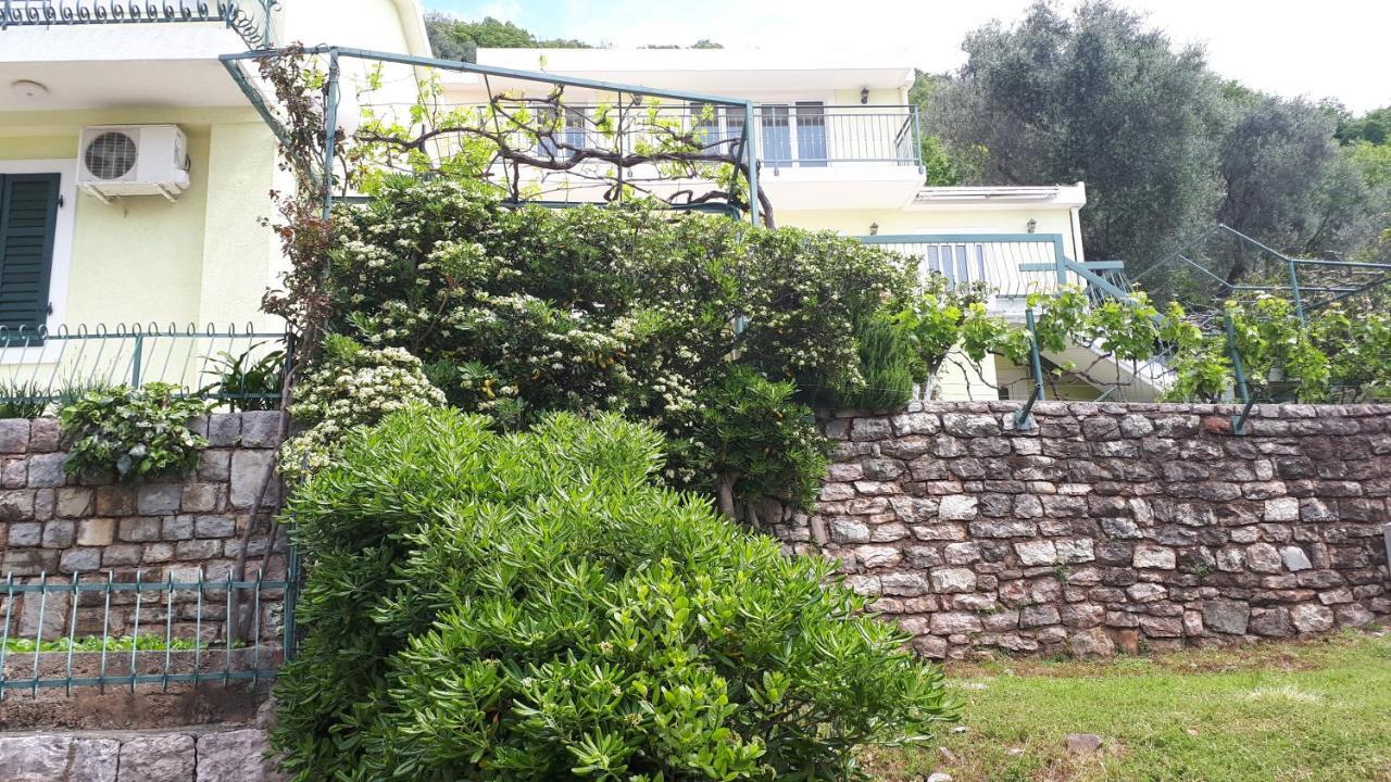 Apartments Simo Petrovac Luaran gambar